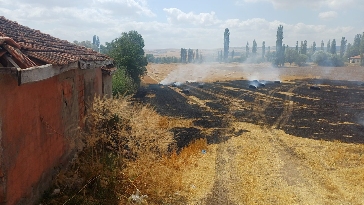Alacayangın (2)-7