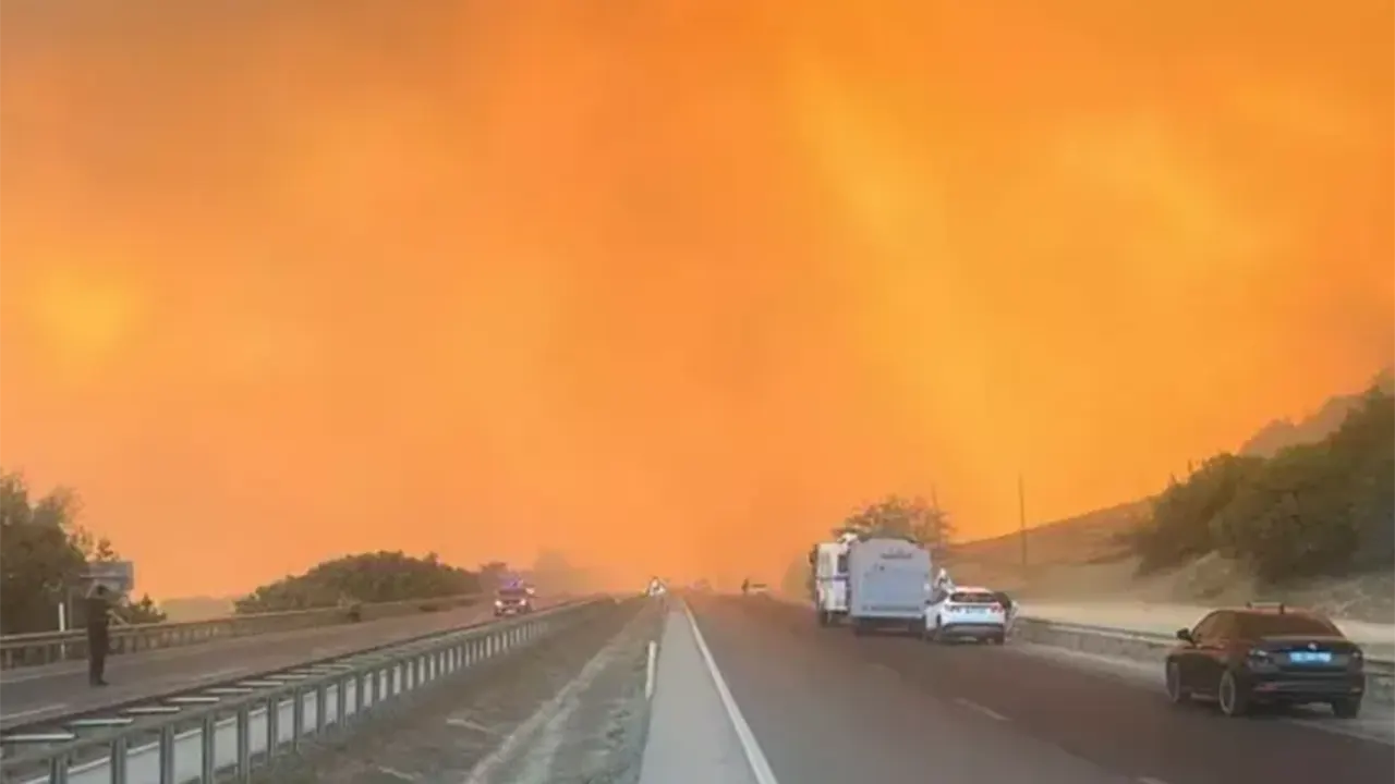 Bursa Orman Yangını