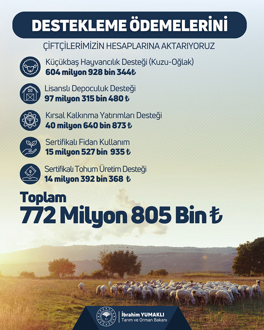 Destek Ödemeleri