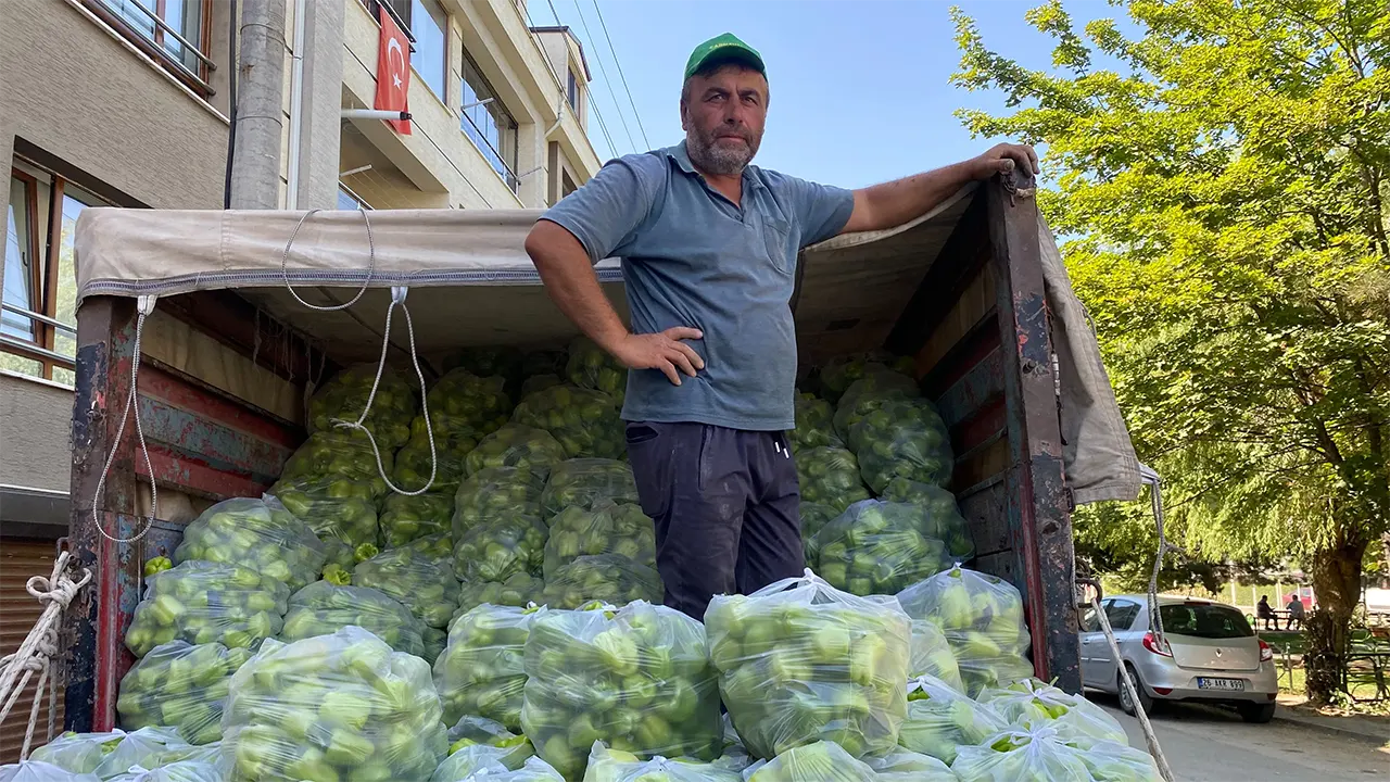 Hal 8 Lira, Market 80 Lira Çiftçi Isyan Etti, Biberleri Bedava Verdi 2