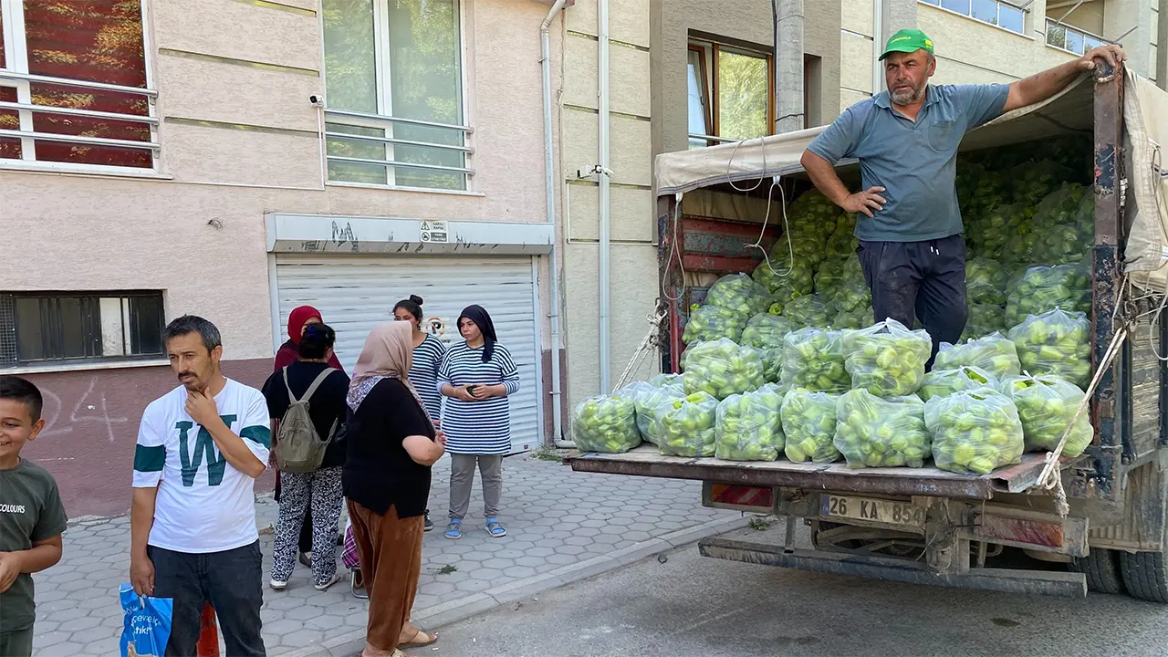 Hal 8 Lira, Market 80 Lira Çiftçi Isyan Etti, Biberleri Bedava Verdi 3