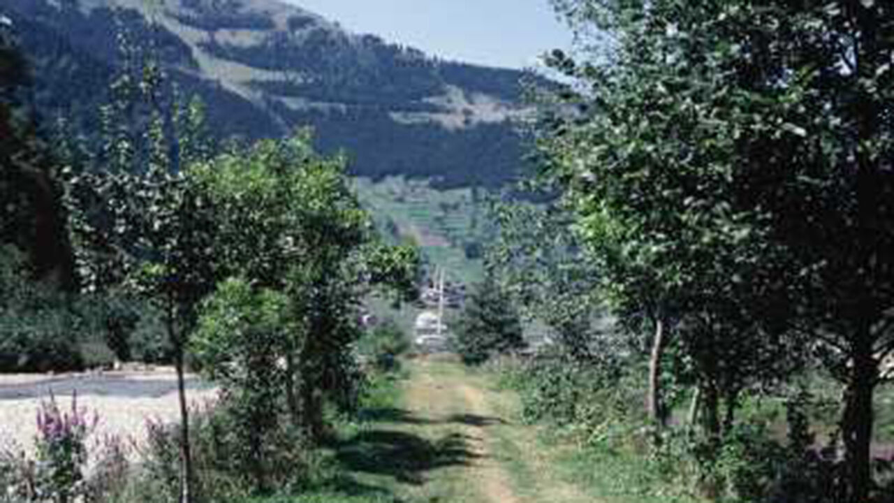 Kargıbisikletyolu (2)