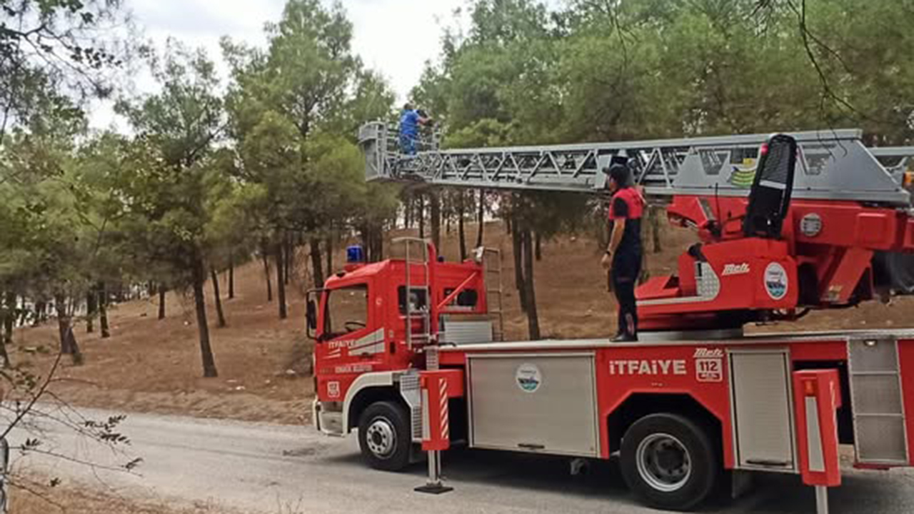 Osmancıkaydınlatma (1)