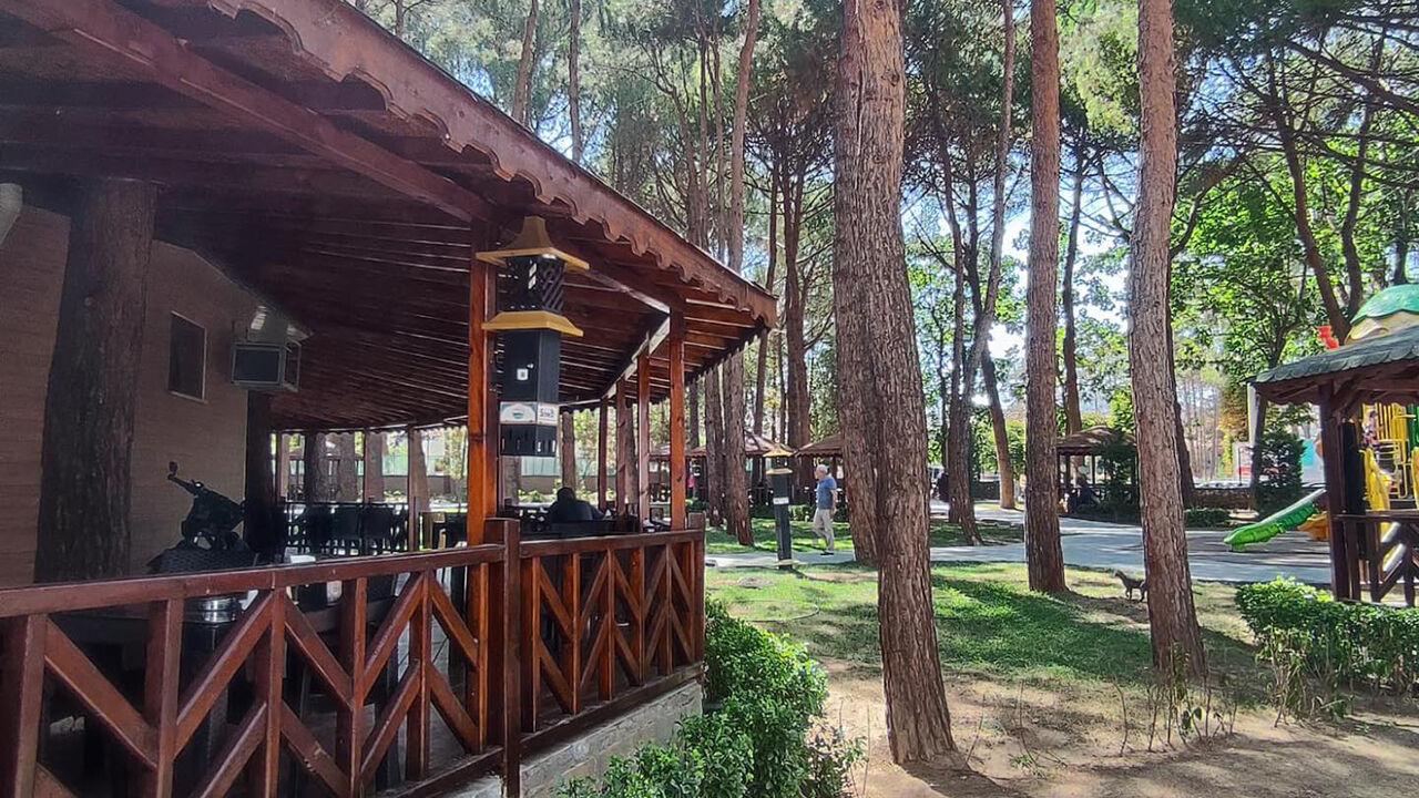 Osmancıksinekkovcu (4)