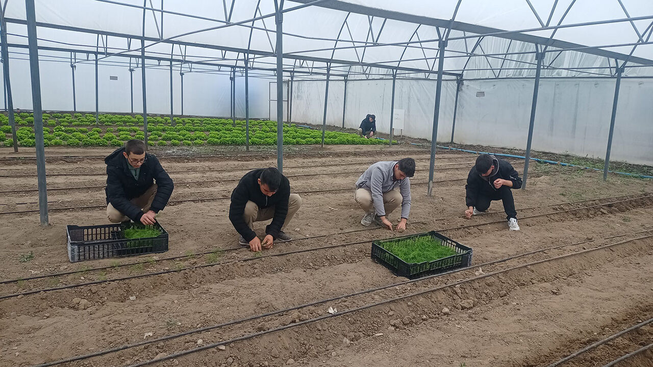 Osmancıktarımlisesi (2)