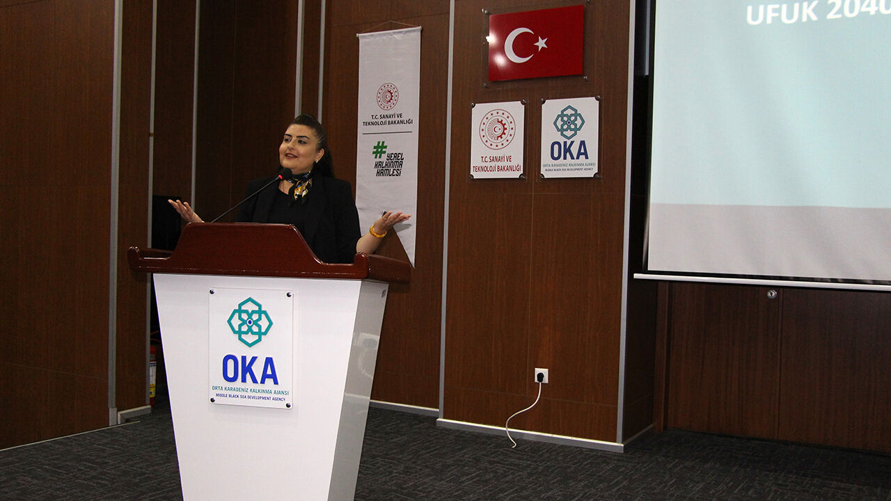 Ufukcalıstayı (2)