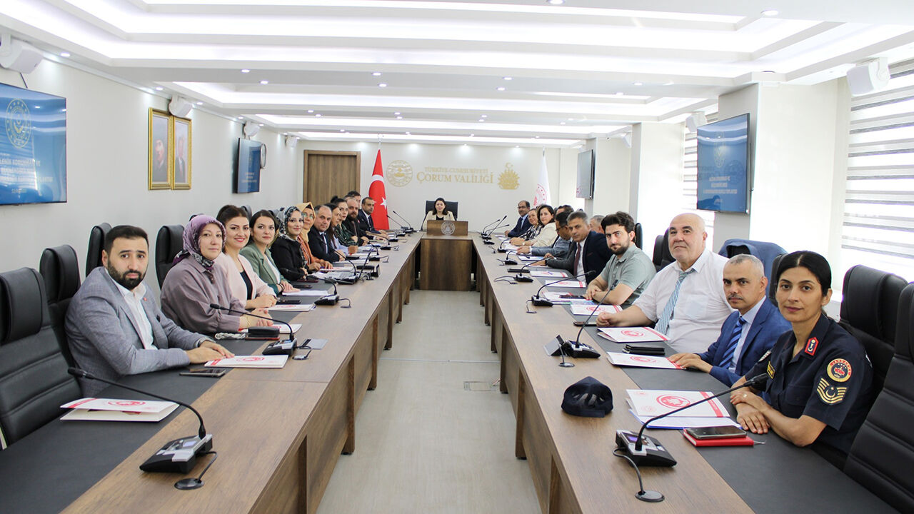 Ailetoplantısı (2)