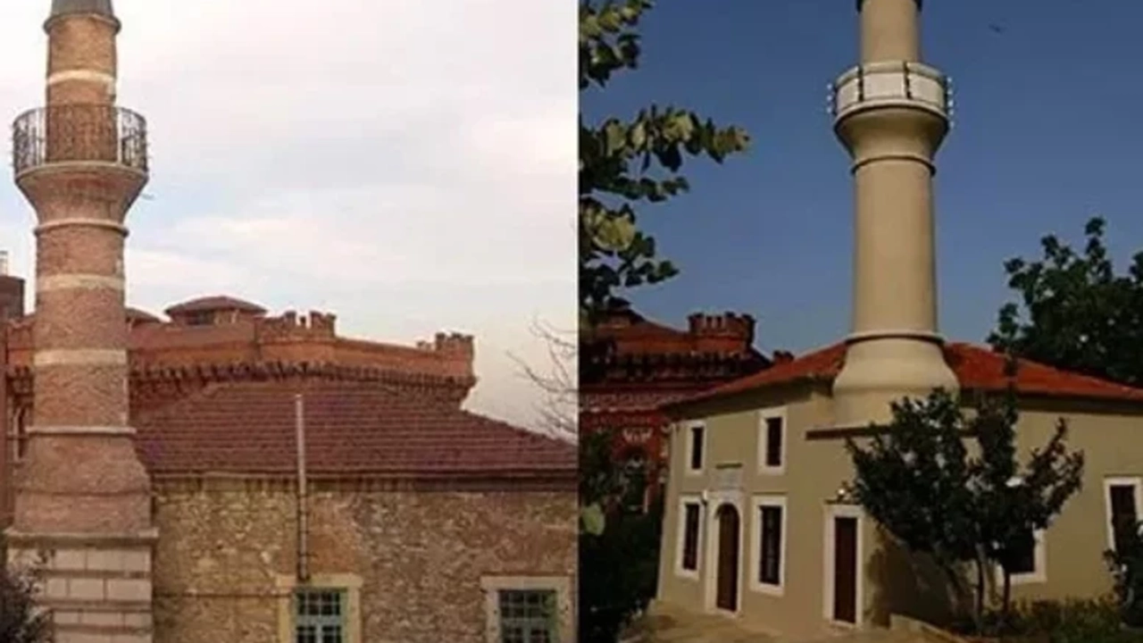 Cami (2)