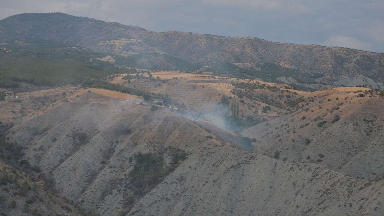 Dodurgayangın (1)-1