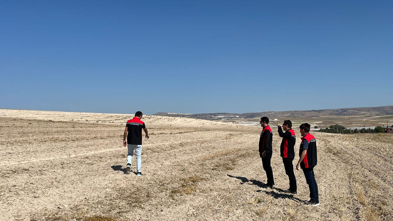 Iltarım (2)