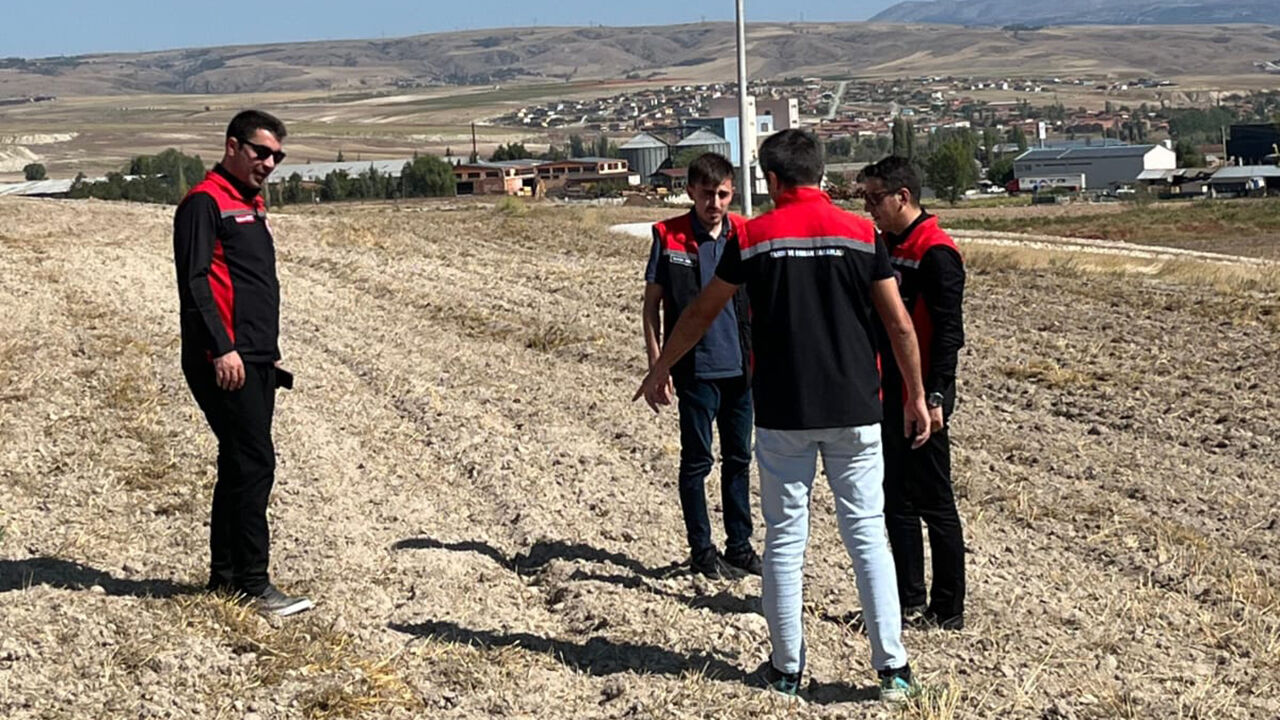 Iltarım (3)