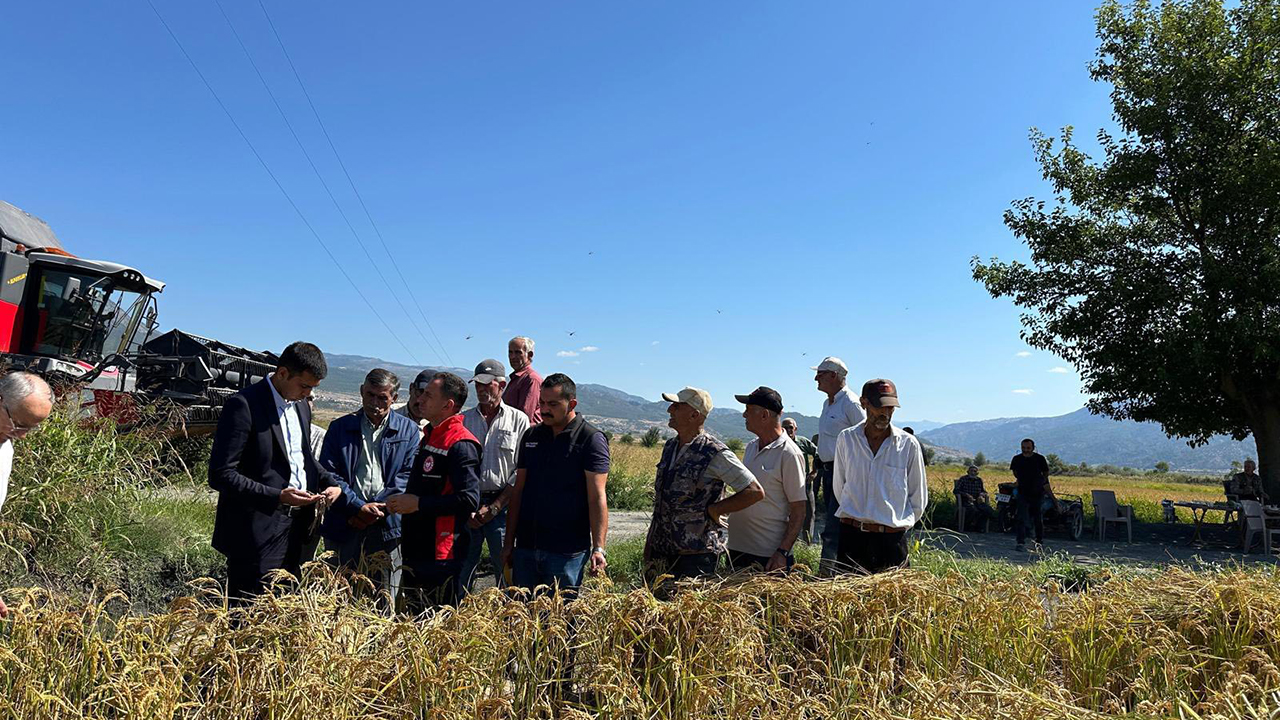 Kargıceltikhasadı (2)