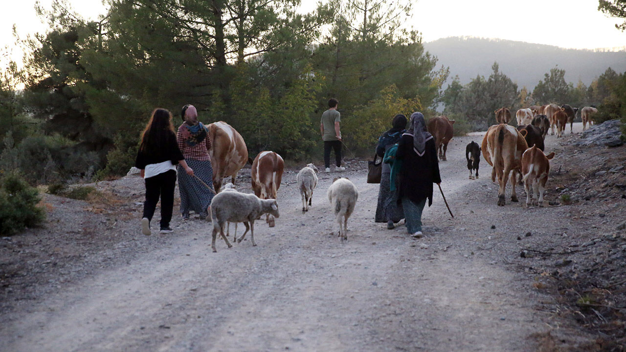 Kastamonuyangın (1)
