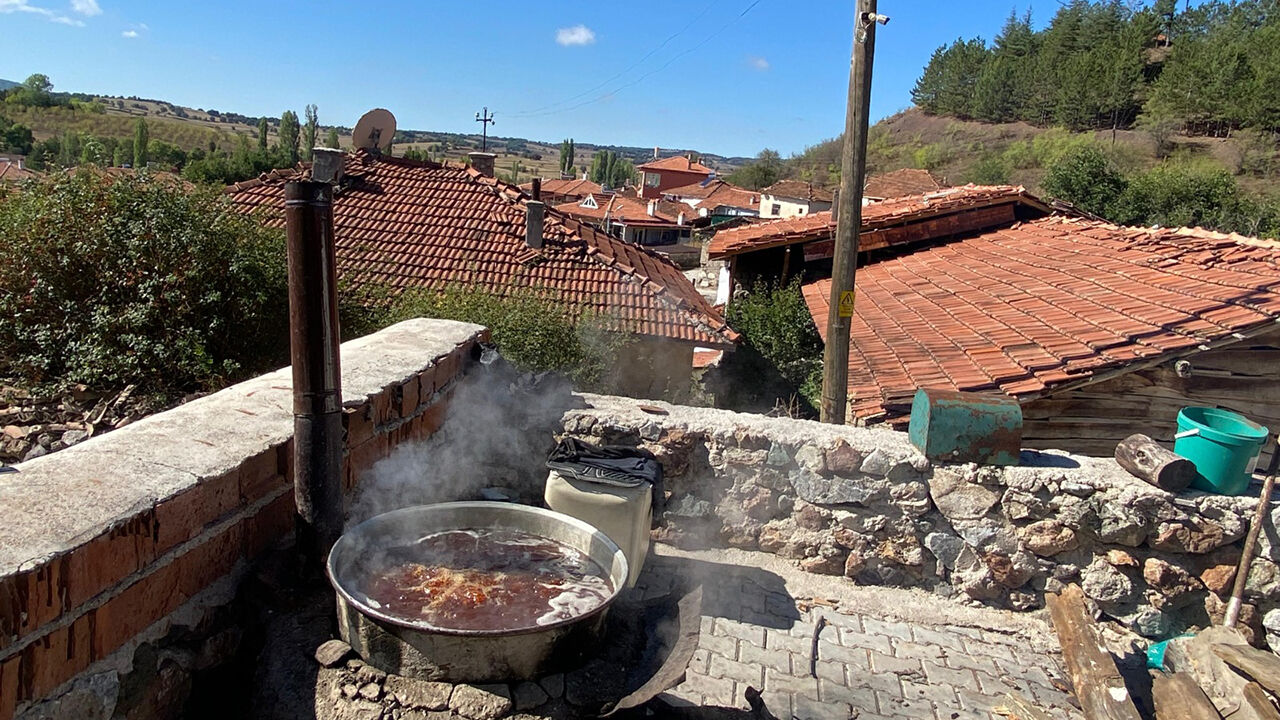 Kıshazırlığı (3)
