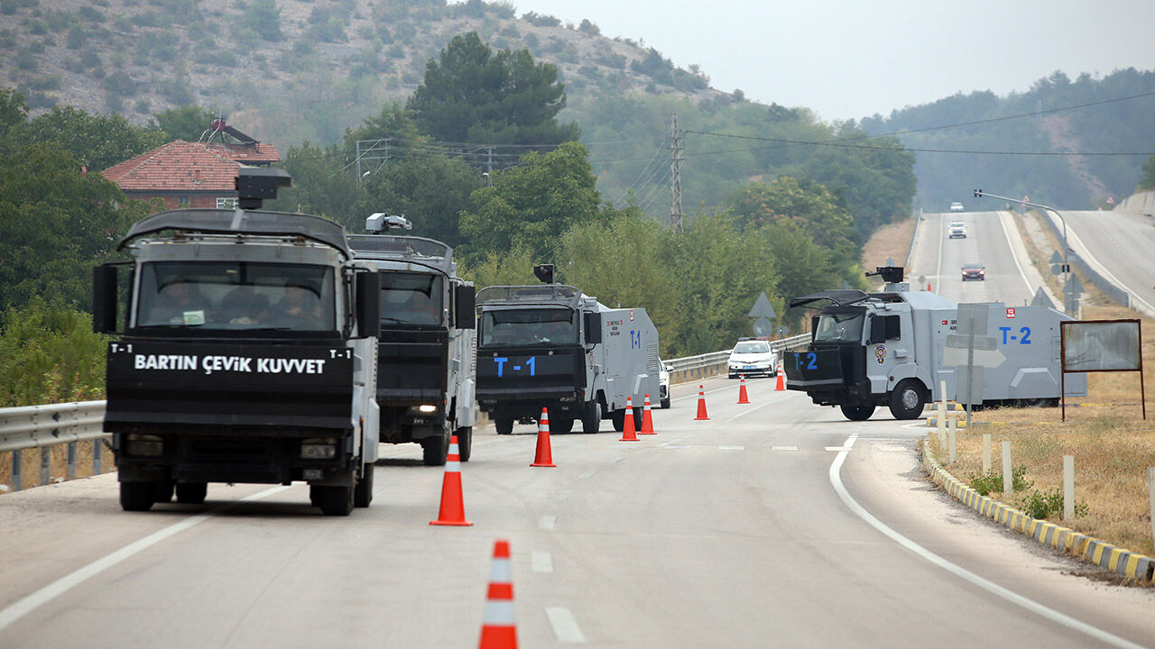 Ormanyangını (3)