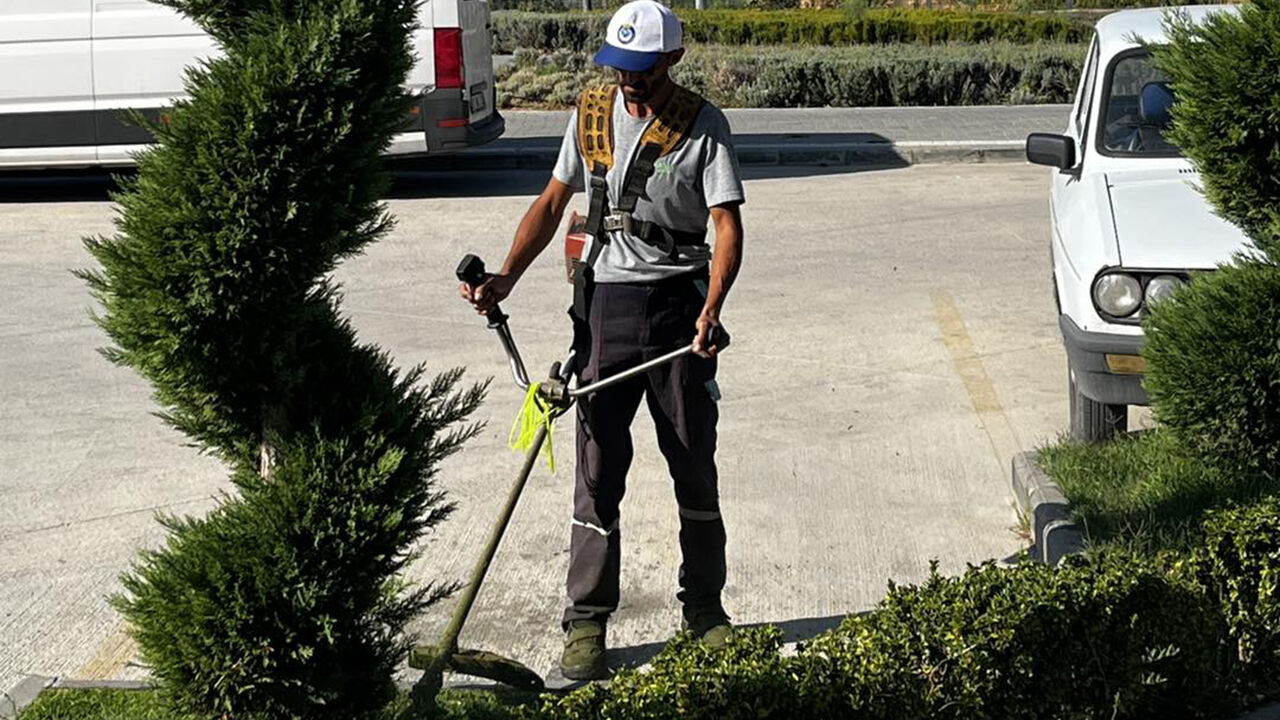 Osmancıkguressahası (6)