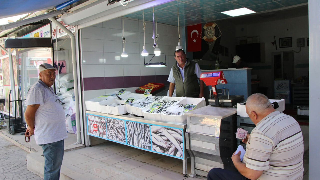 Sungurlubalık (3)