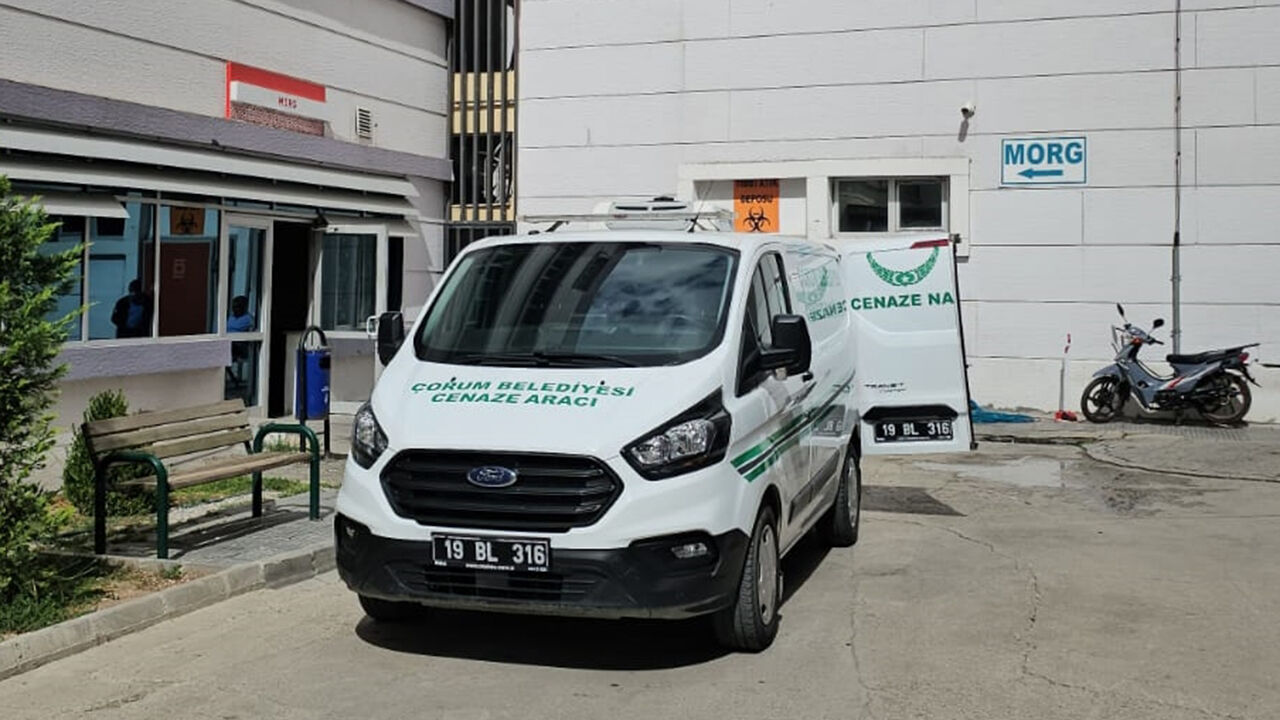 Tırsoforu (1)