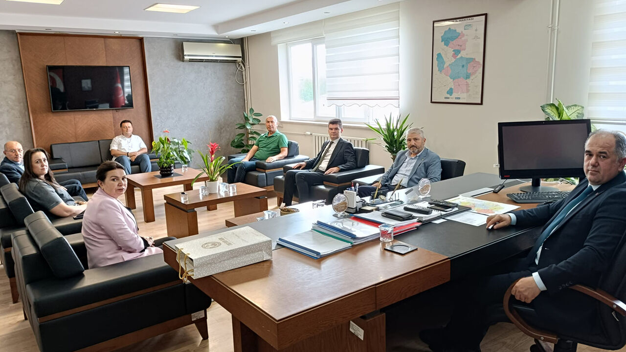 Tocbirsentarım (2)