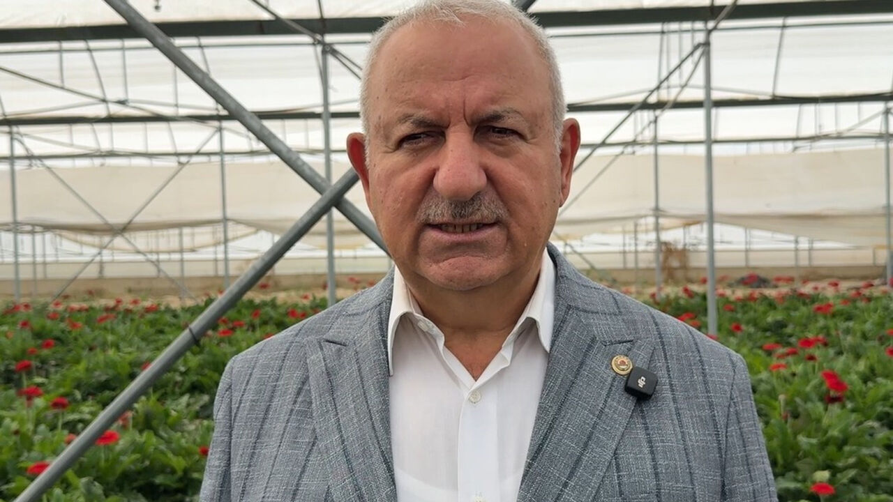 Tokat Cicek1