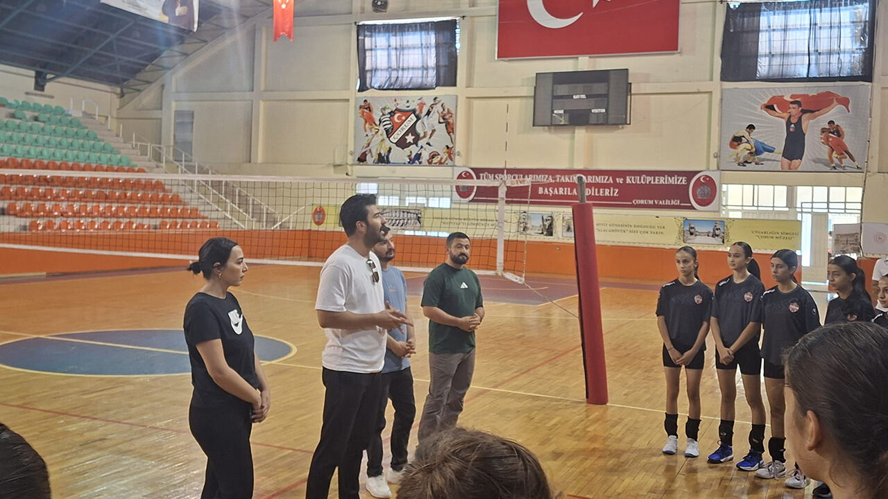 Voleyboldestek (2)