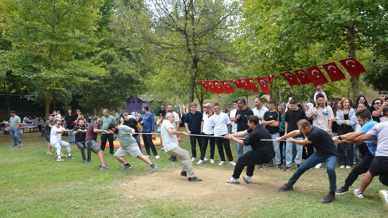 Yukarızeytinlilerkoyu (5)