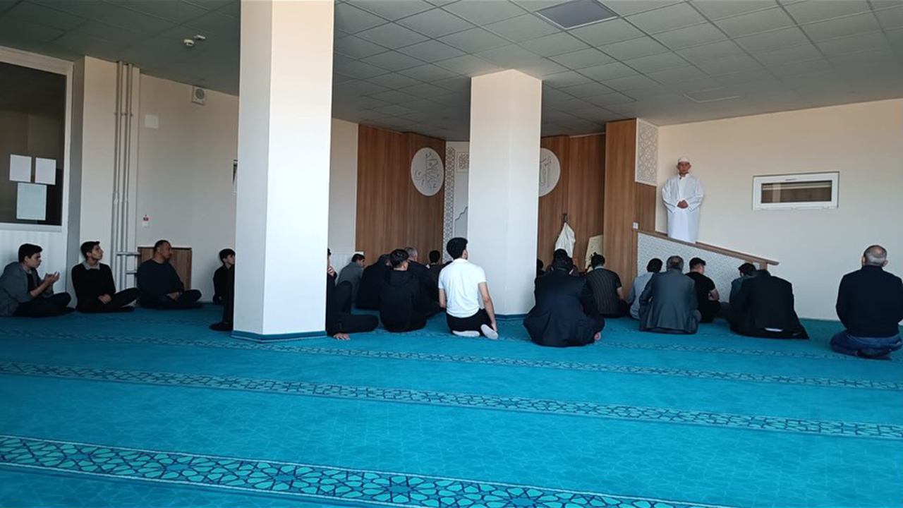 Alacaihl (4)