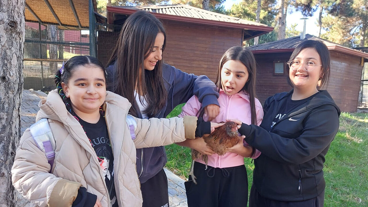 Hayvansevgisi (2)