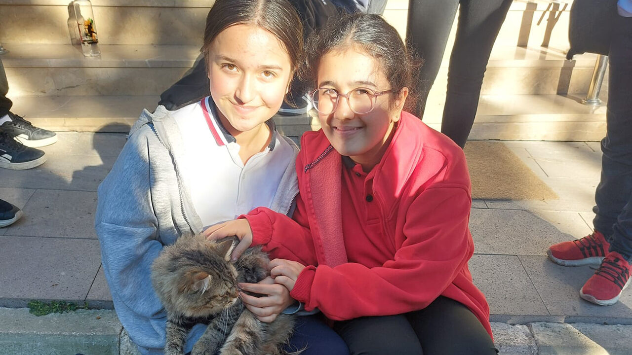 Hayvansevgisi (6)