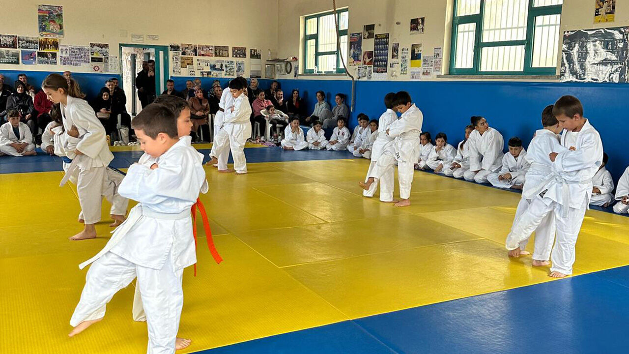 Judo (1)-1