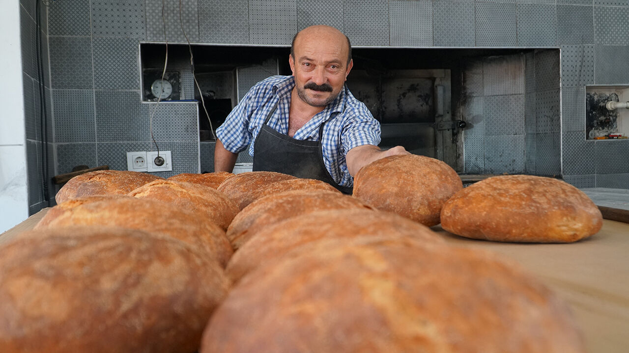 Kadıngurusumcu (3)