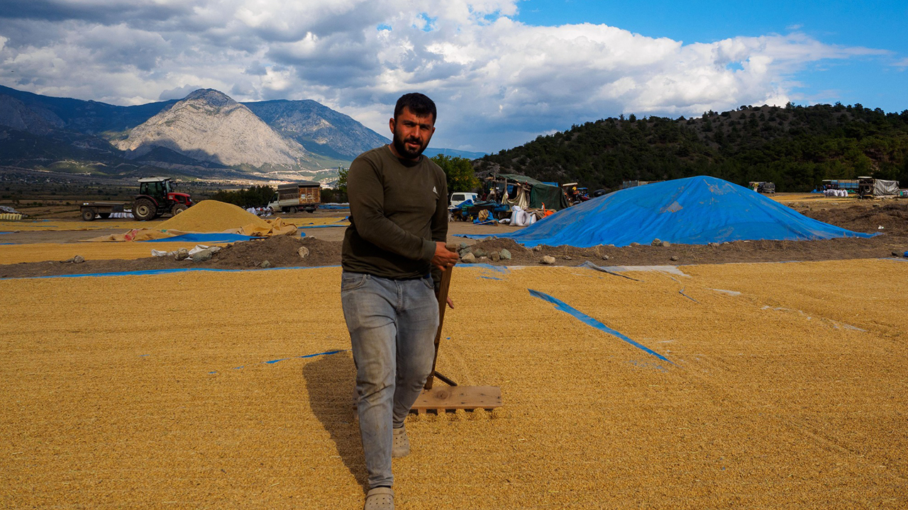 Kargıçeltikhasat (6)