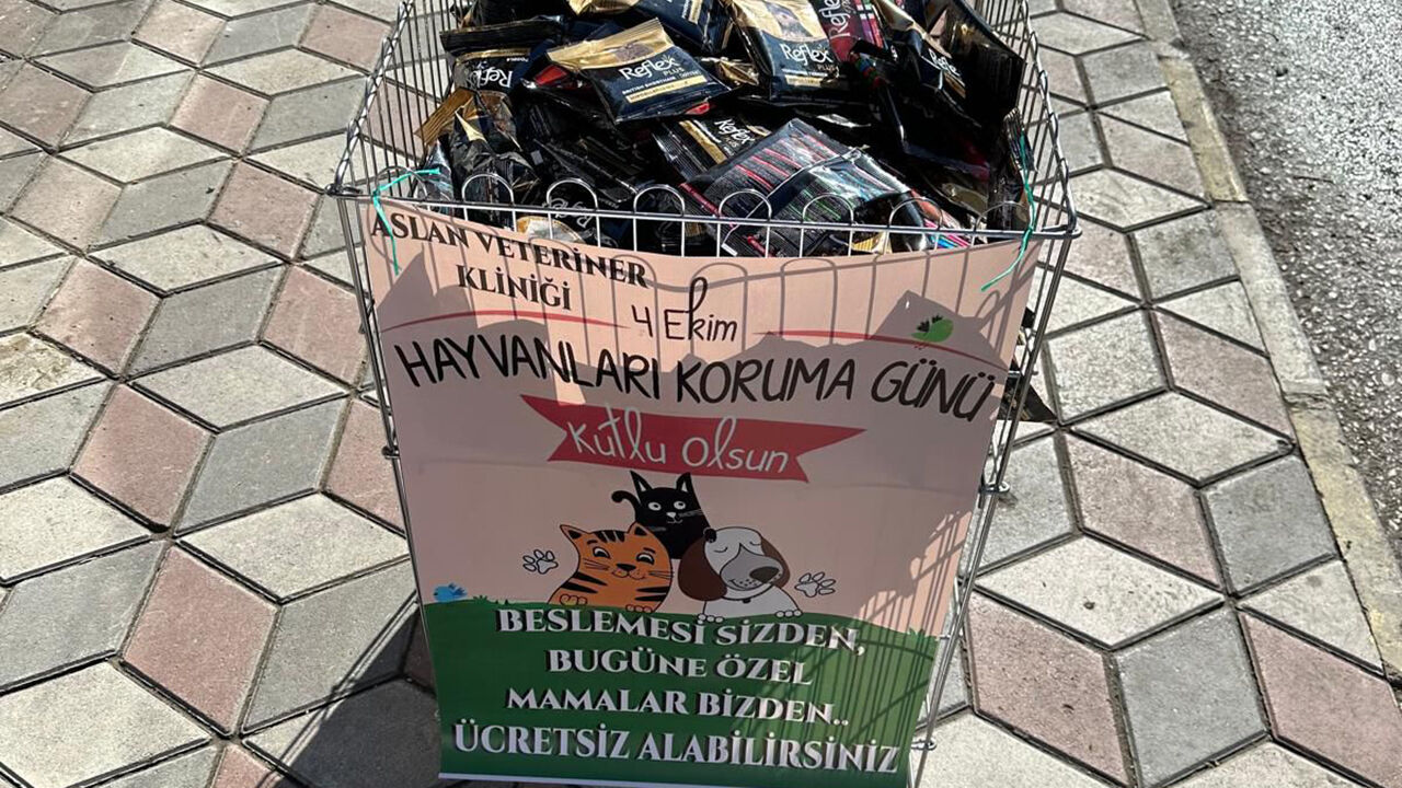 Kargımama (2)