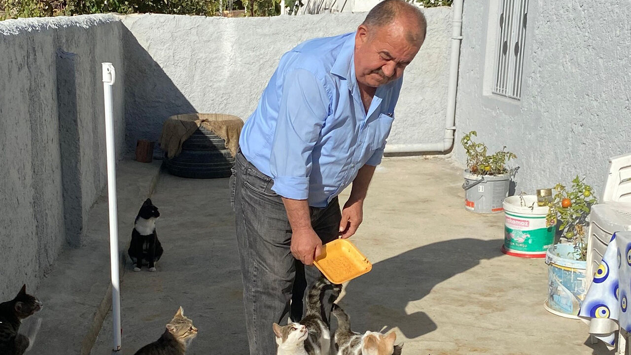 Kedi (1)-1