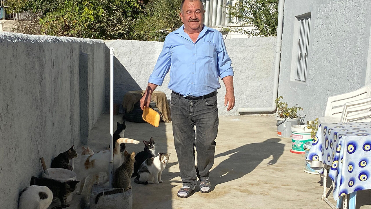 Kedi (10)