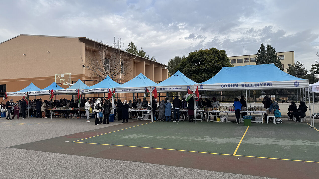 Kermes (2)-5