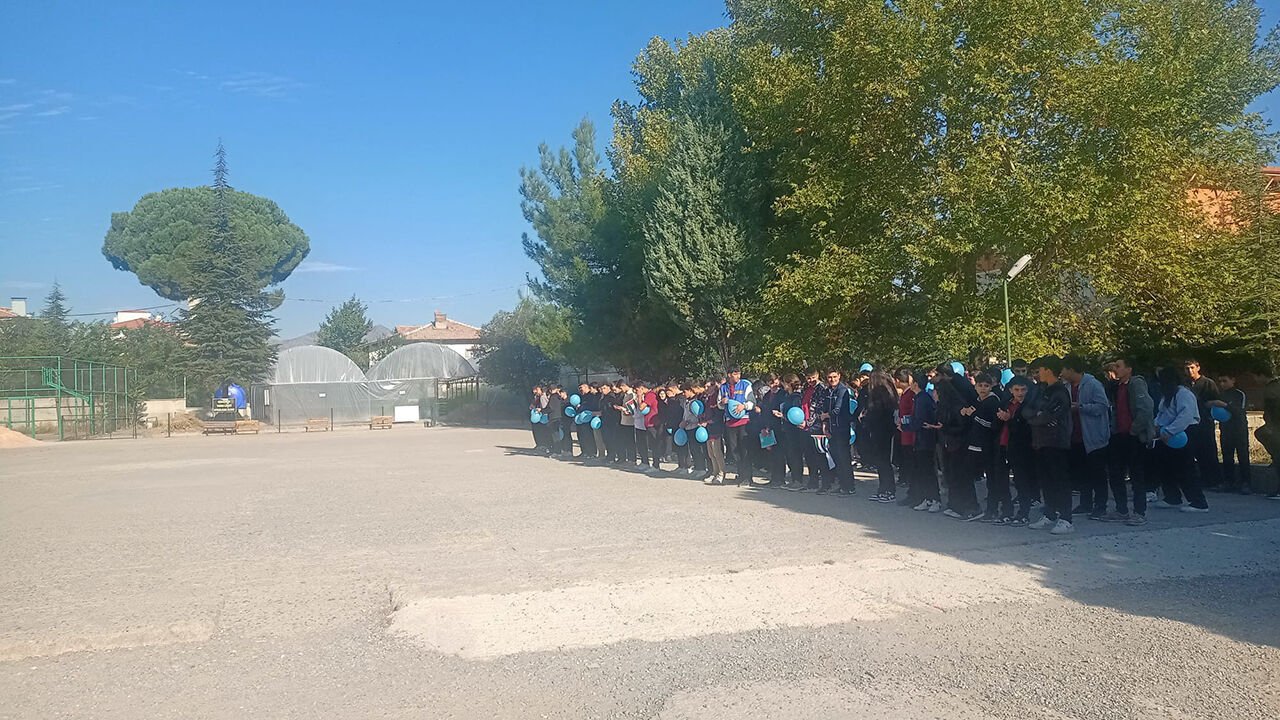 Osmancıkgazze (3)