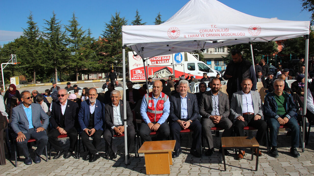 Seydimsenlik (4)