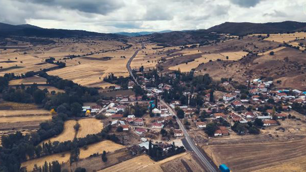 Tulipprojesi (2)