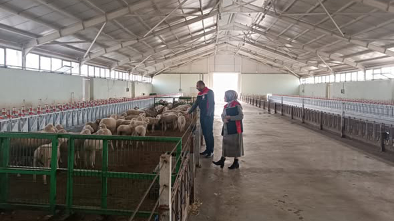 577690138 122210652860108366 2325126280506121977 N