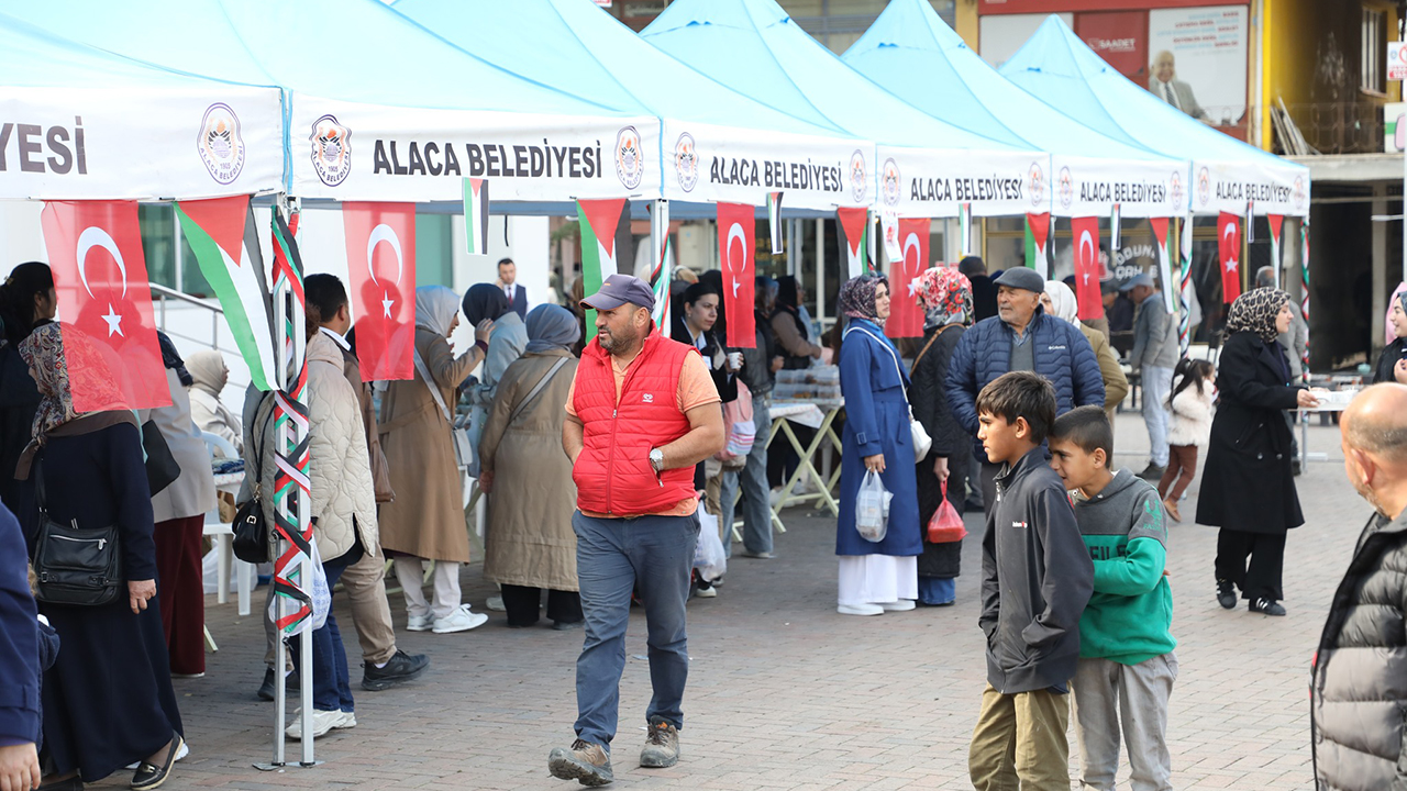 Alacafilistinkermes (7)