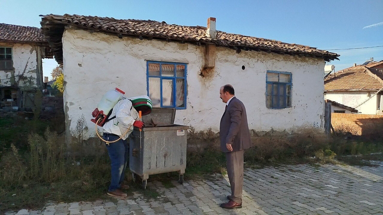 Arı (3)