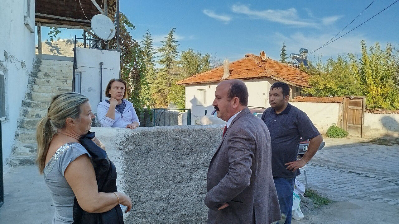 Arı (4)-1