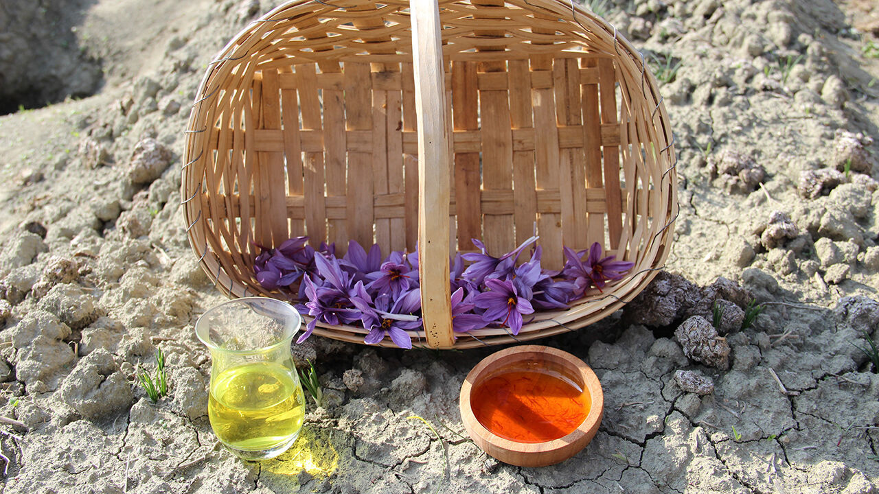 Baharat (6)