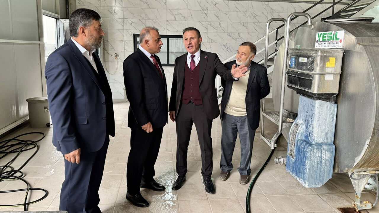 Damızlıkyakupalar (7)