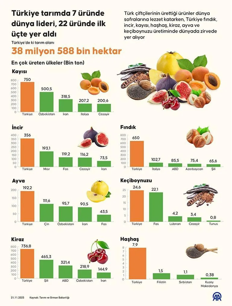 Dünya Bu 7 Ürünü Bizden Alıyor Türkiye Tarımda Zirveye Yerleşti 2