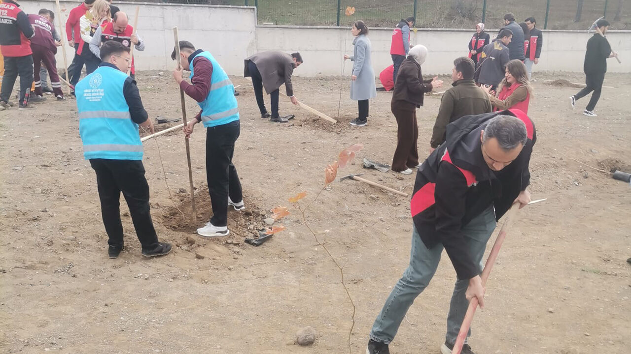 Fidan (4)