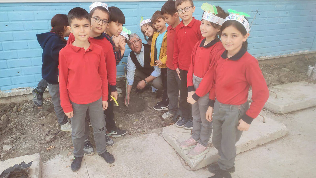 Fidanosmancık (5)