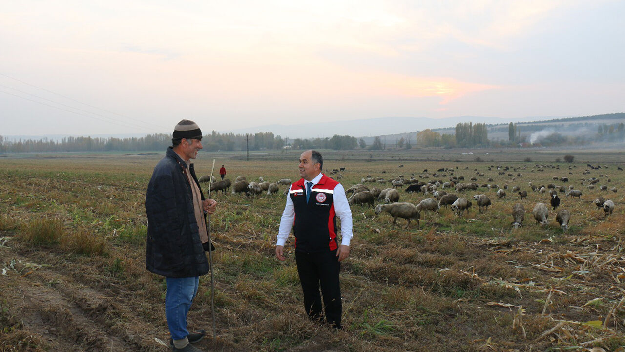 Iltarım (5)