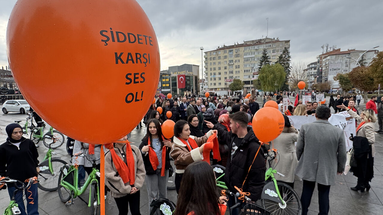 Kadınsiddet (3)